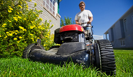 Get Powered for Spring